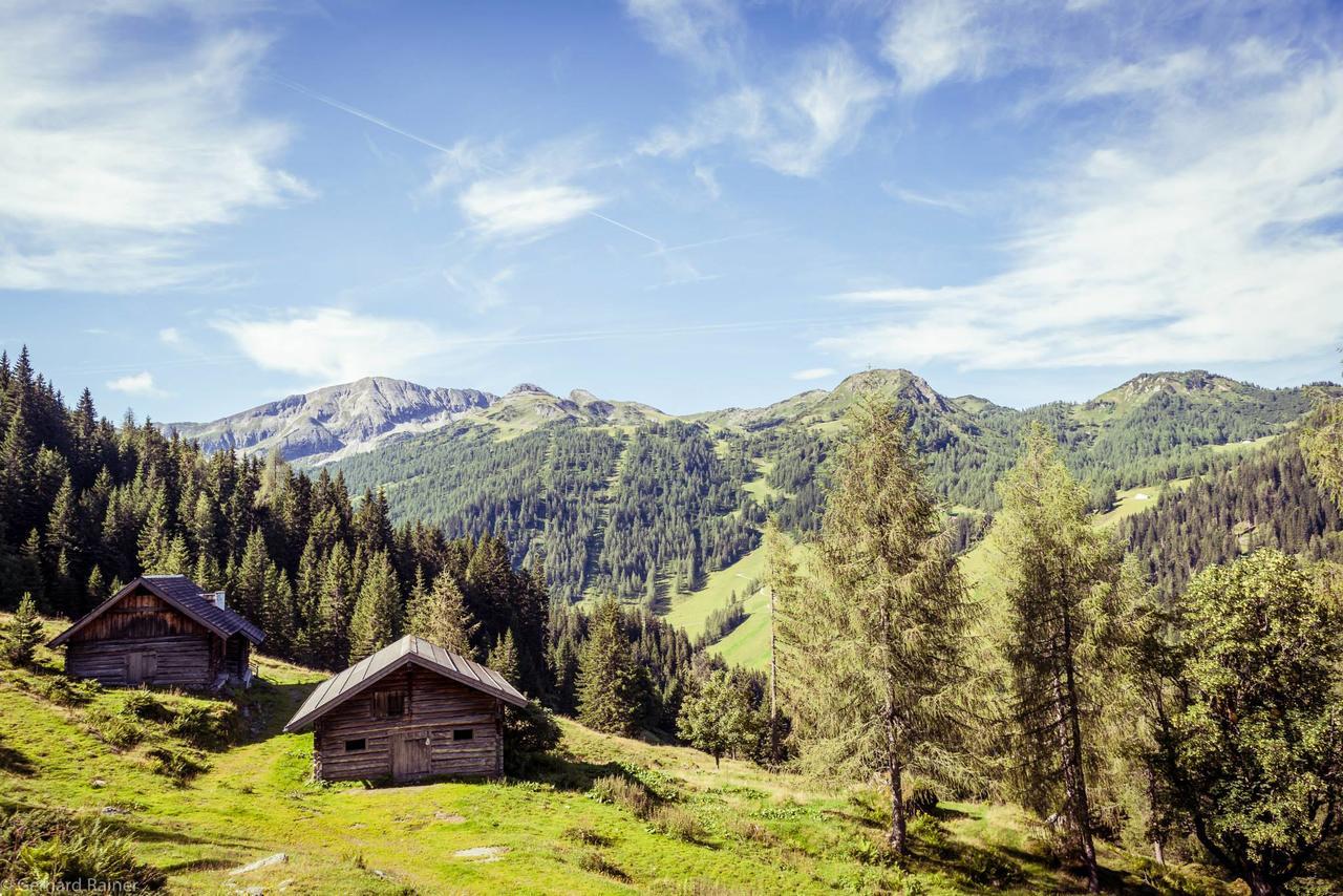 Hotel Alpenrose Zauchensee Dış mekan fotoğraf